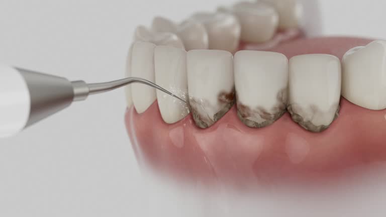 Reliable Dental contractor in Jellico, TN by Dentist Open Now